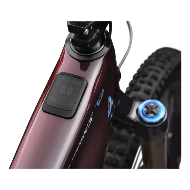 LEVO SW CARBON G4 BRA - Multibike